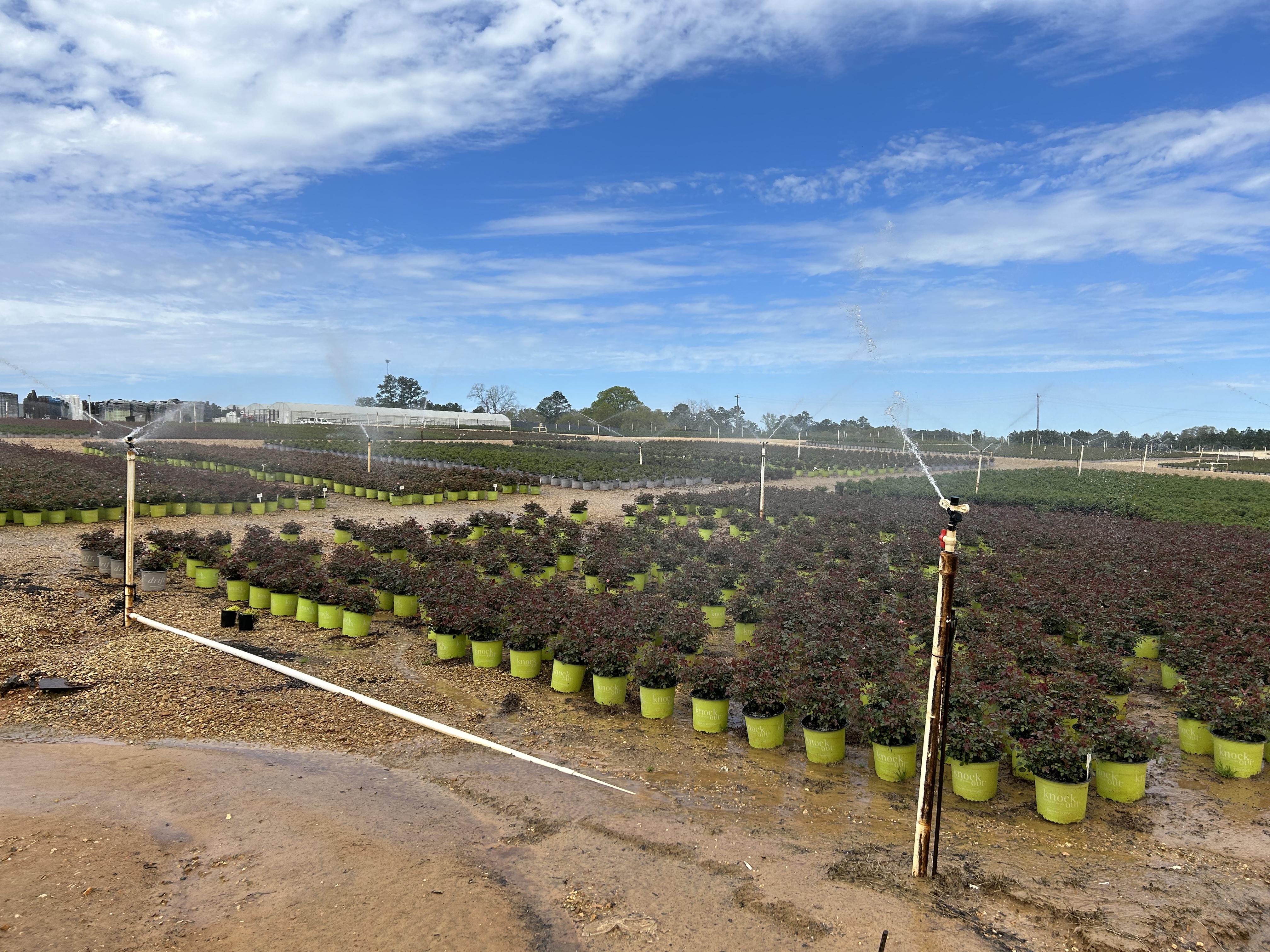 Unlocking Water Quality Parameters for Gardens